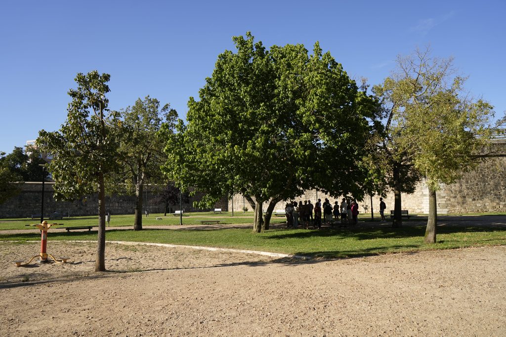 ATABAL PASEO SONORO (10)